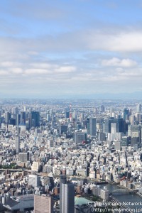 遠くの東京タワー